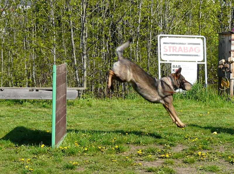 26.4.2008 077.jpg