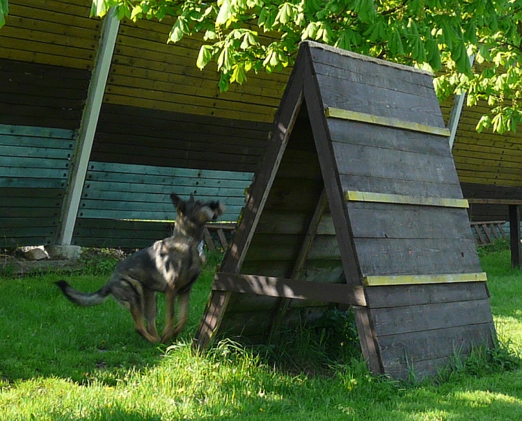 26.4.2008 093.jpg